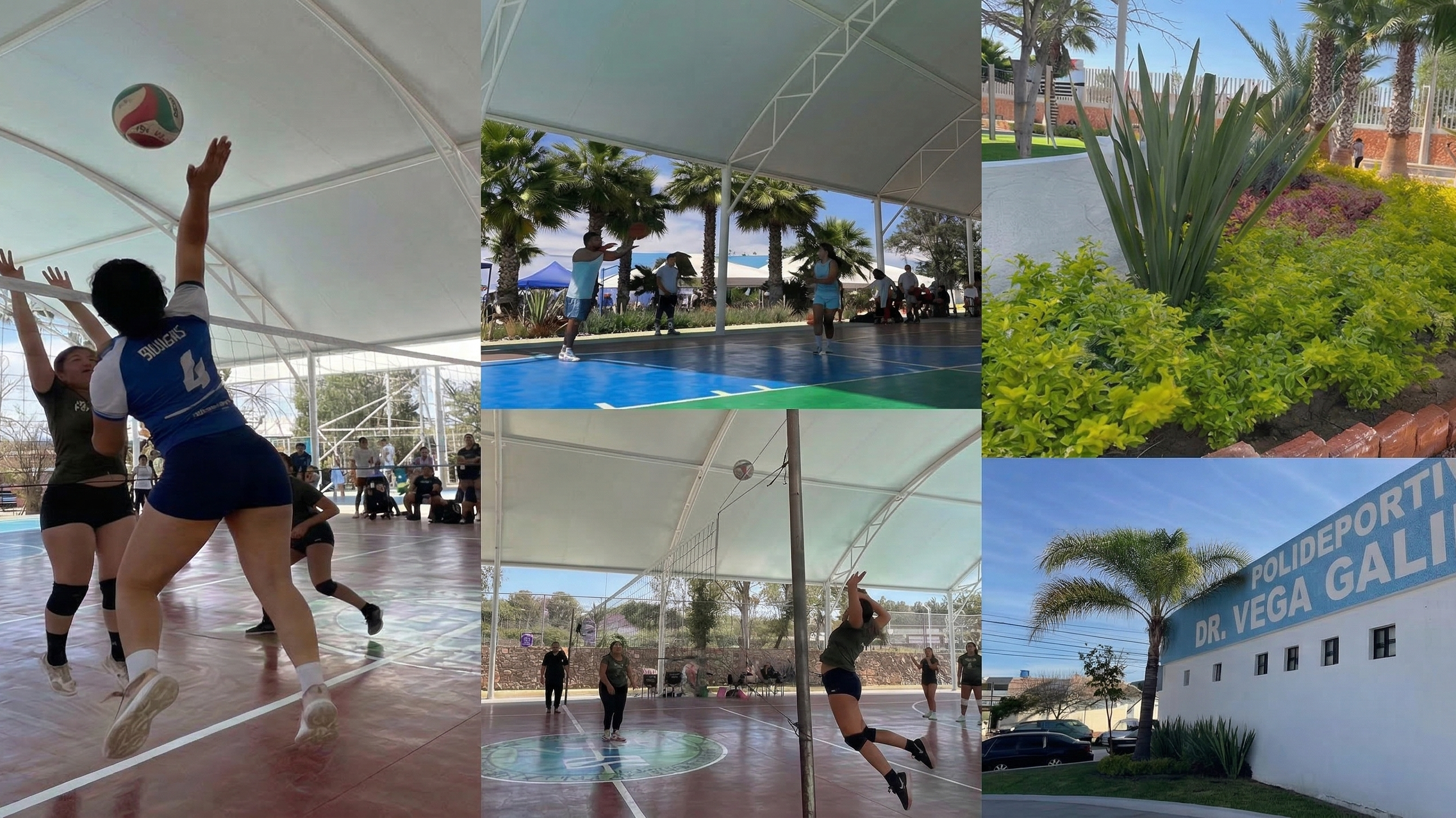 Deportivo Dr. Roberto Vega Galina